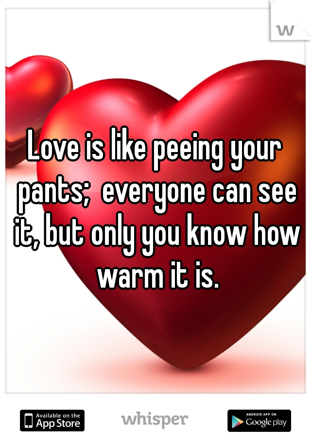 Love is like peeing your pants;  everyone can see it, but only you know how warm it is.