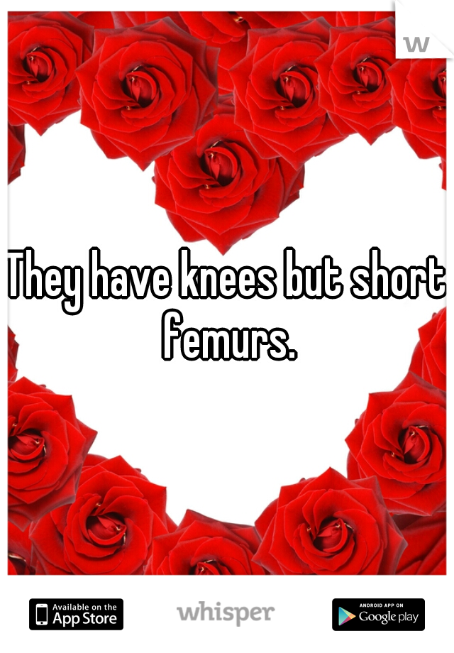 They have knees but short femurs.
