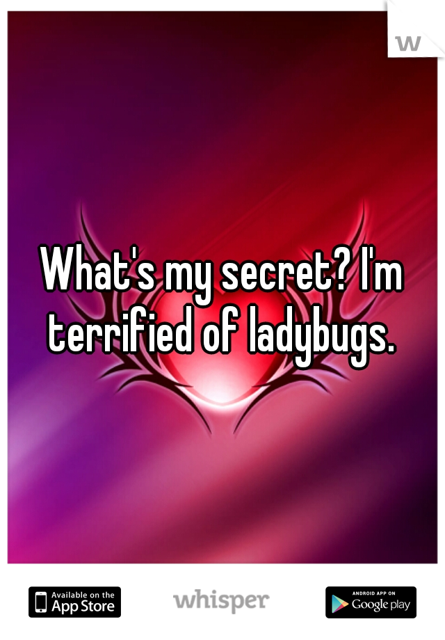 What's my secret? I'm terrified of ladybugs. 