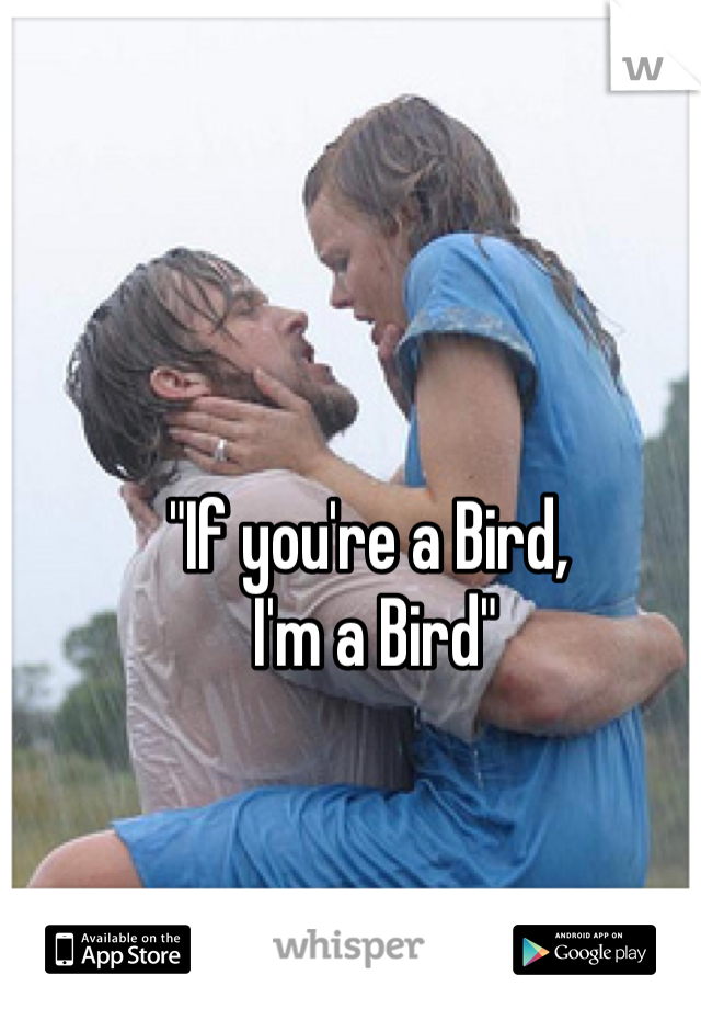 "If you're a Bird,
 I'm a Bird"