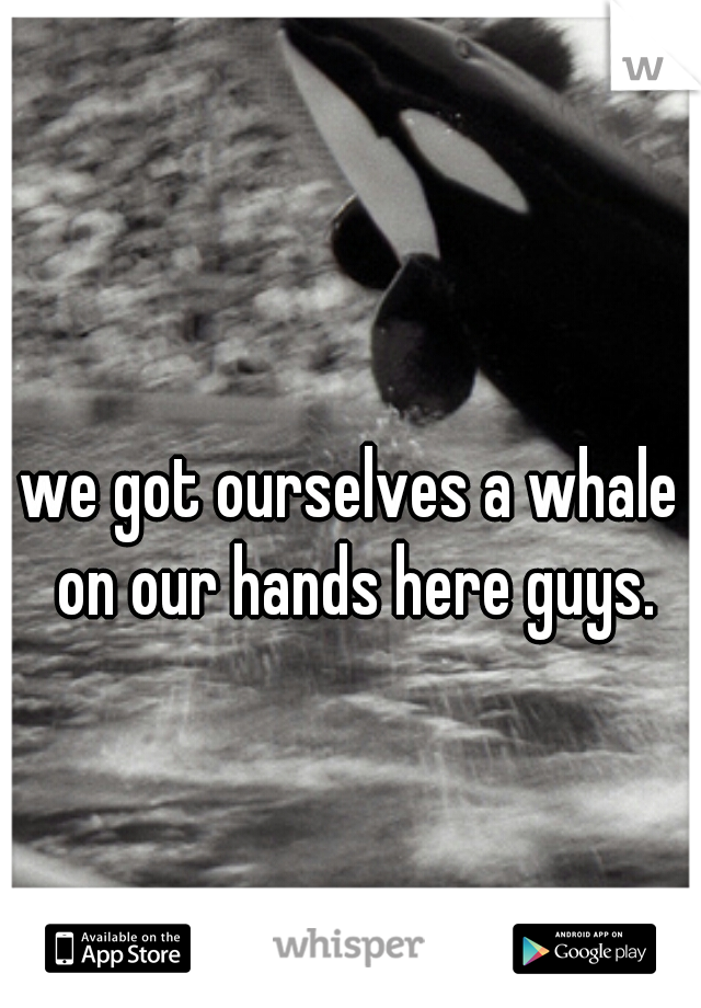we got ourselves a whale on our hands here guys.
