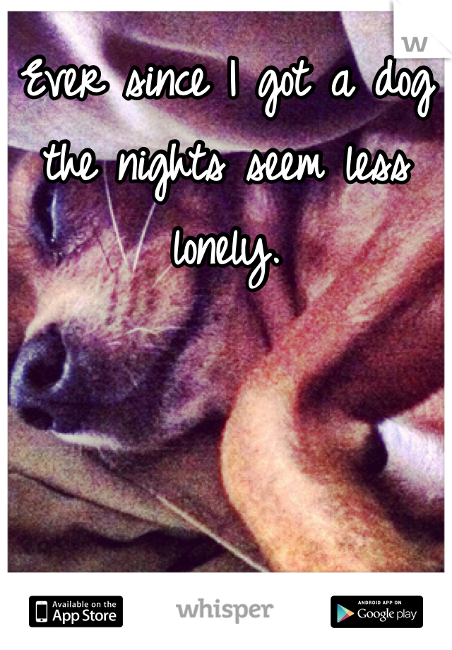 Ever since I got a dog the nights seem less lonely. 