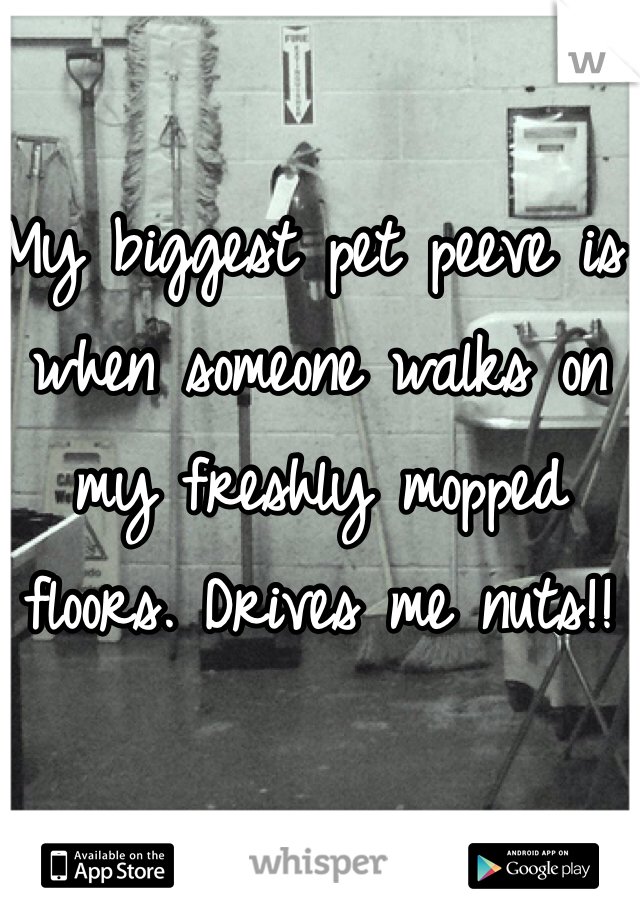My biggest pet peeve is when someone walks on my freshly mopped floors. Drives me nuts!! 