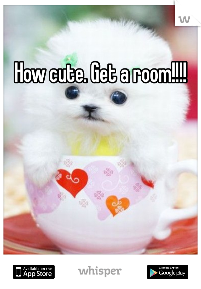 How cute. Get a room!!!!