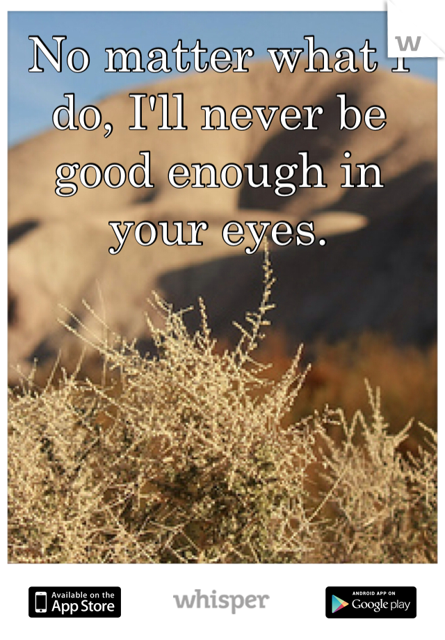 No matter what I do, I'll never be good enough in your eyes. 