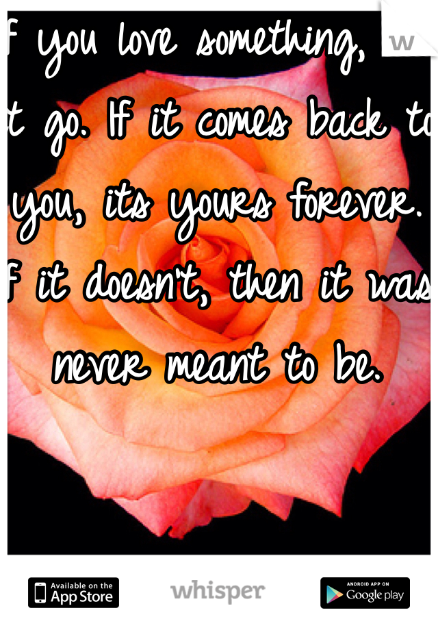 If you love something, let it go. If it comes back to you, its yours forever. If it doesn’t, then it was never meant to be.