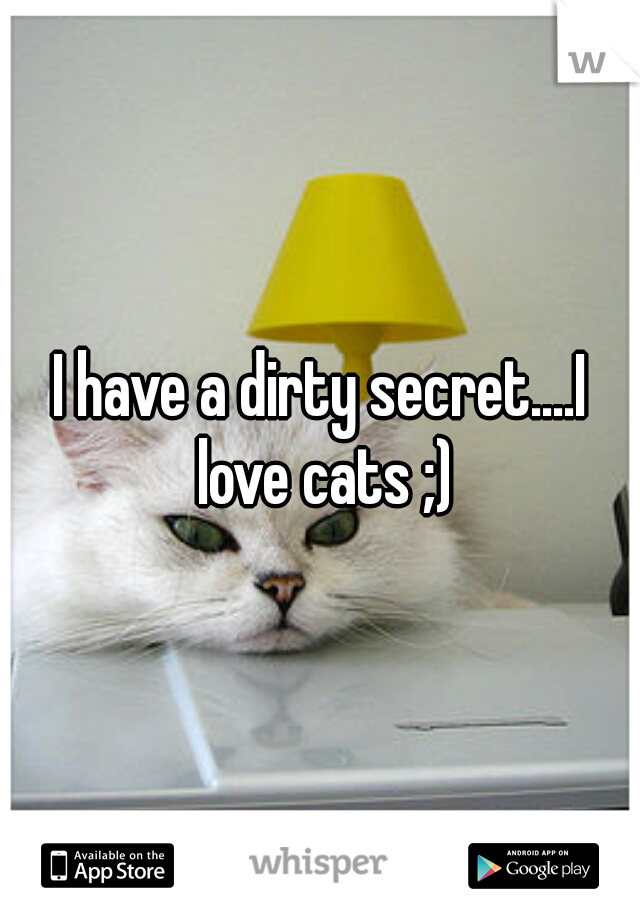 I have a dirty secret....I love cats ;)