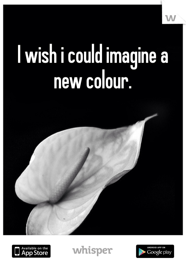 I wish i could imagine a new colour.