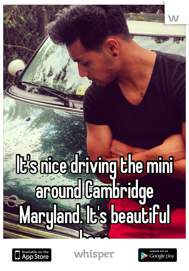 It's nice driving the mini around Cambridge Maryland. It's beautiful here 