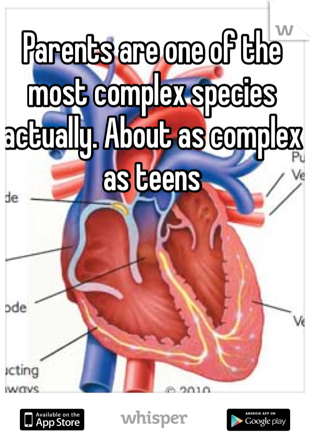 Parents are one of the most complex species actually. About as complex as teens