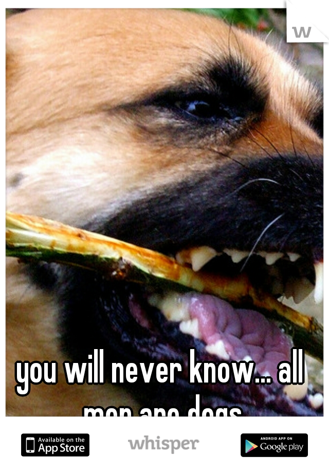 you will never know... all men are dogs