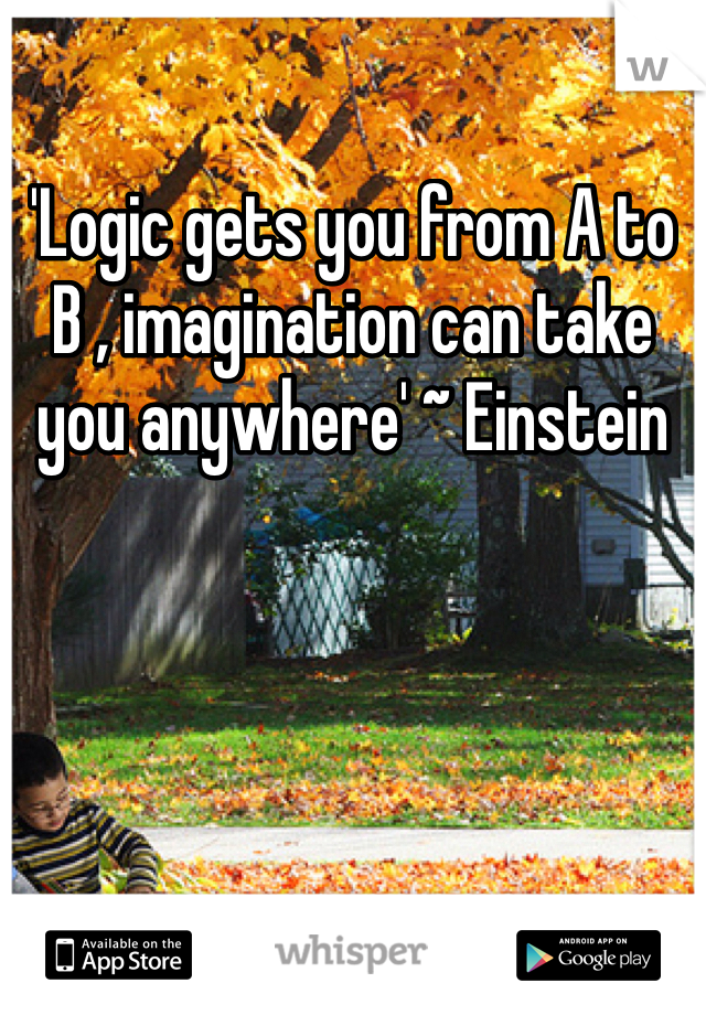 'Logic gets you from A to B , imagination can take you anywhere' ~ Einstein 