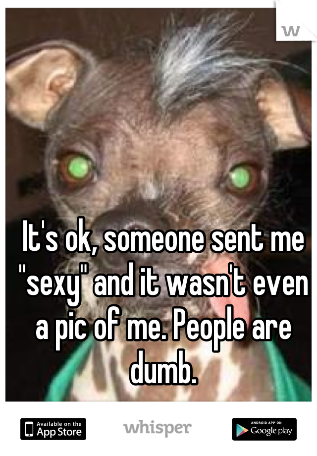 It's ok, someone sent me "sexy" and it wasn't even a pic of me. People are dumb.