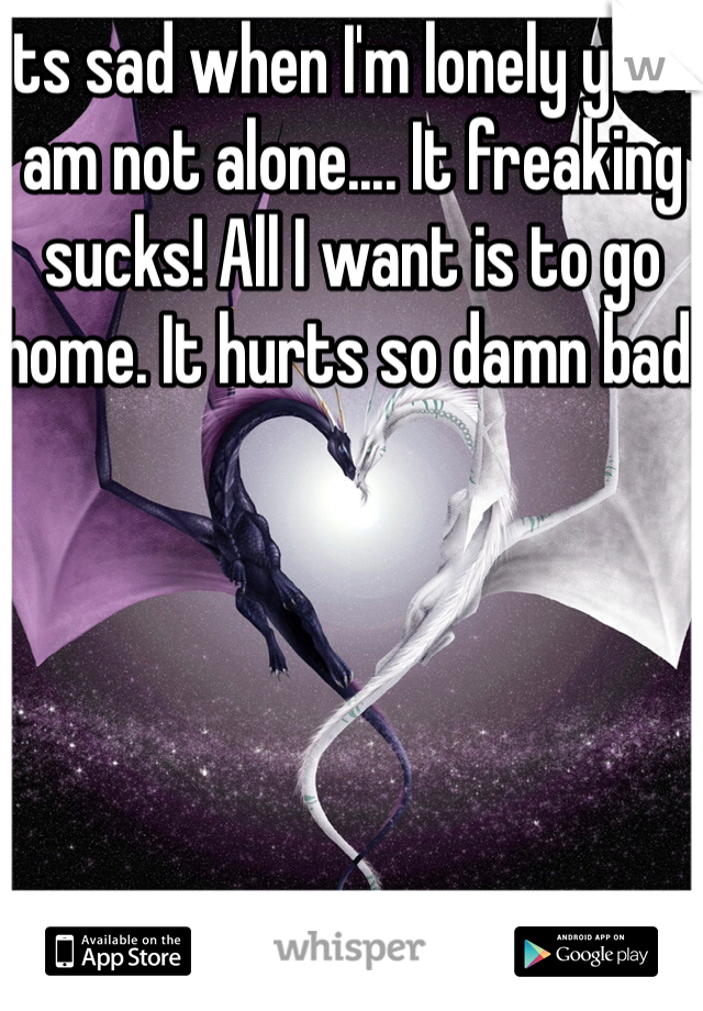Its sad when I'm lonely yet I am not alone.... It freaking sucks! All I want is to go home. It hurts so damn bad! 