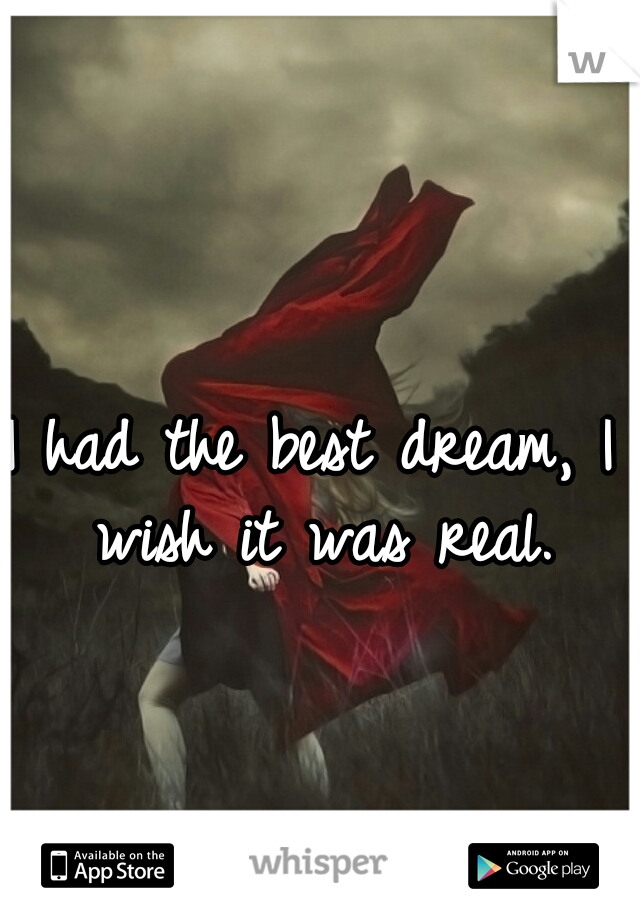 I had the best dream, I wish it was real.