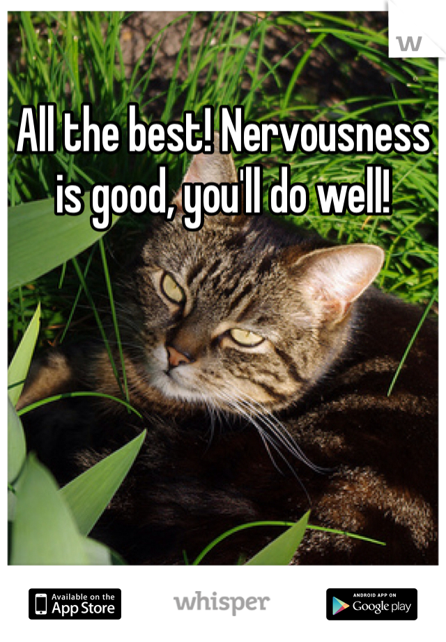 All the best! Nervousness is good, you'll do well!