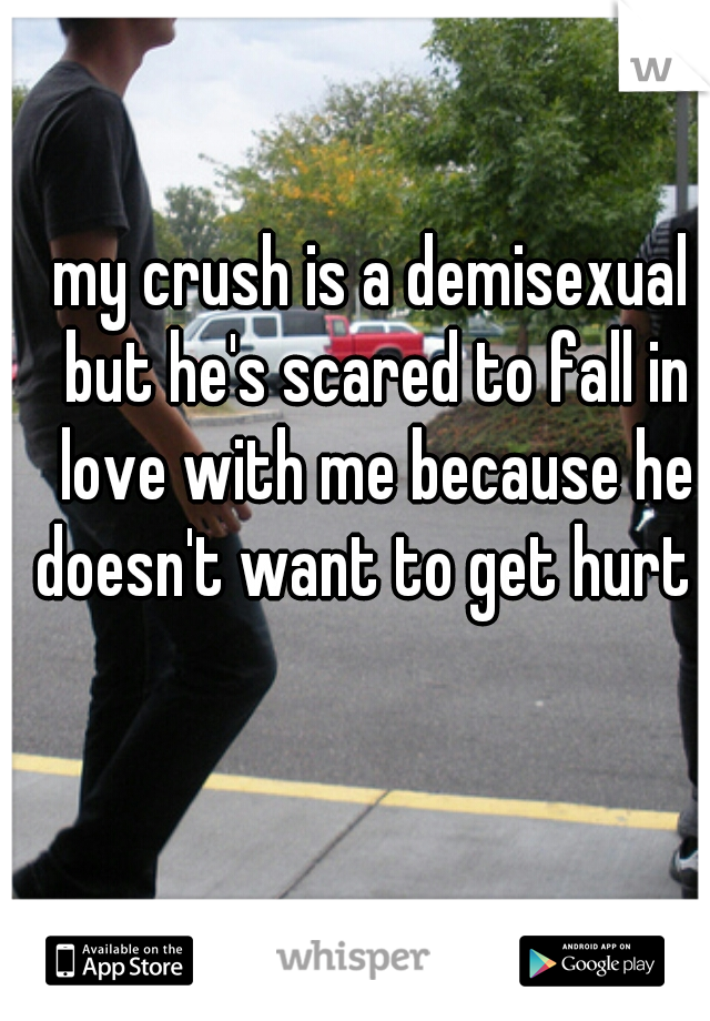 my crush is a demisexual but he's scared to fall in love with me because he doesn't want to get hurt :c