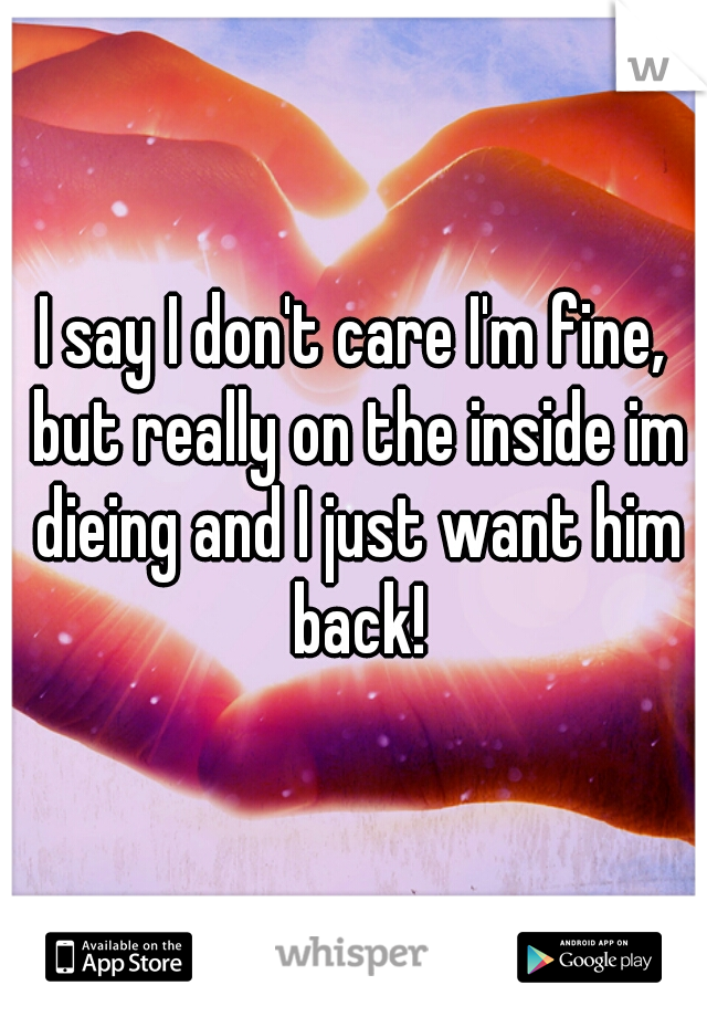 I say I don't care I'm fine, but really on the inside im dieing and I just want him back!