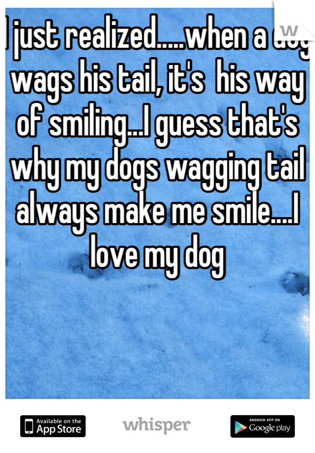 I just realized.....when a dog wags his tail, it's  his way of smiling...I guess that's why my dogs wagging tail always make me smile....I love my dog
