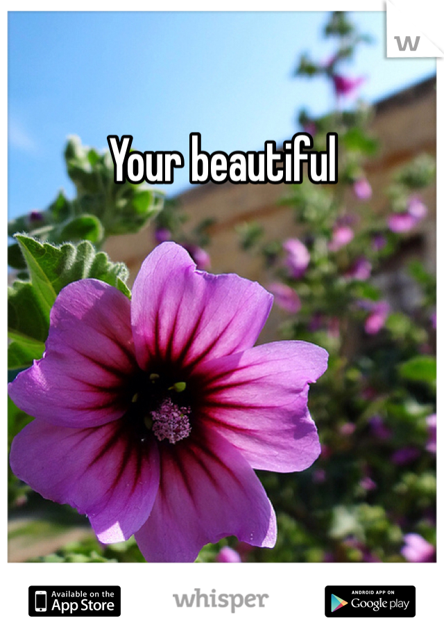 Your beautiful 
