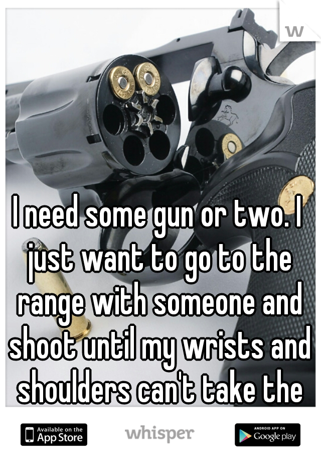 I need some gun or two. I just want to go to the range with someone and shoot until my wrists and shoulders can't take the recoil anymore.