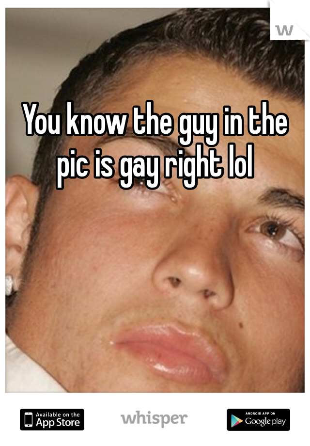You know the guy in the pic is gay right lol 