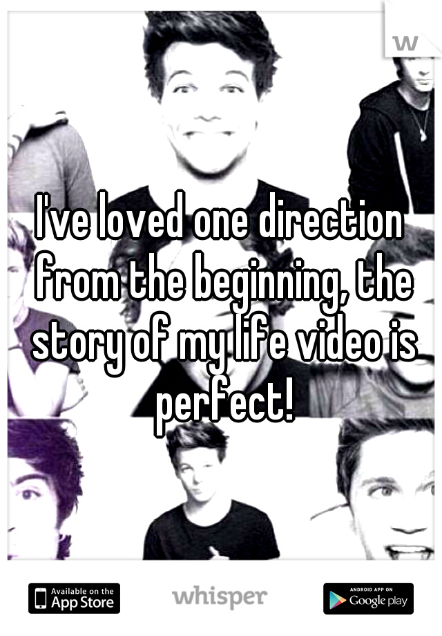 I've loved one direction from the beginning, the story of my life video is perfect!