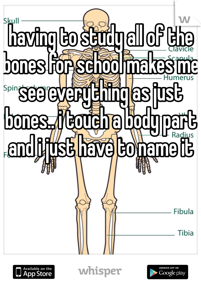 having to study all of the bones for school makes me see everything as just bones.. i touch a body part and i just have to name it