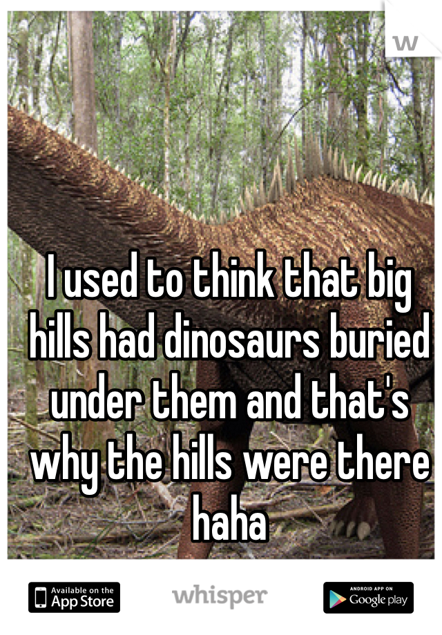 I used to think that big hills had dinosaurs buried under them and that's why the hills were there haha