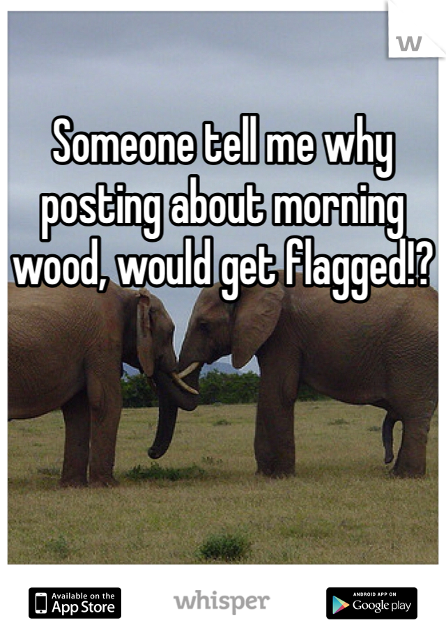 Someone tell me why posting about morning wood, would get flagged!?
