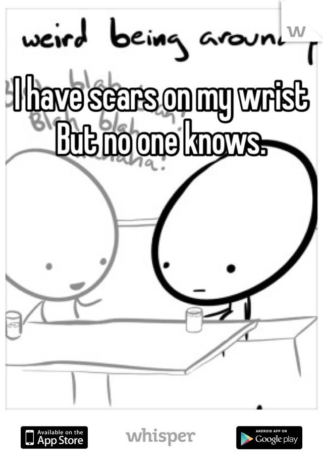 I have scars on my wrist
But no one knows. 