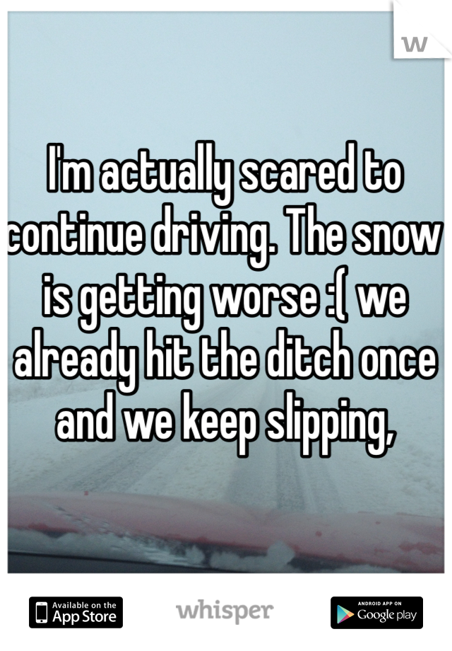 I'm actually scared to continue driving. The snow is getting worse :( we already hit the ditch once and we keep slipping, 
