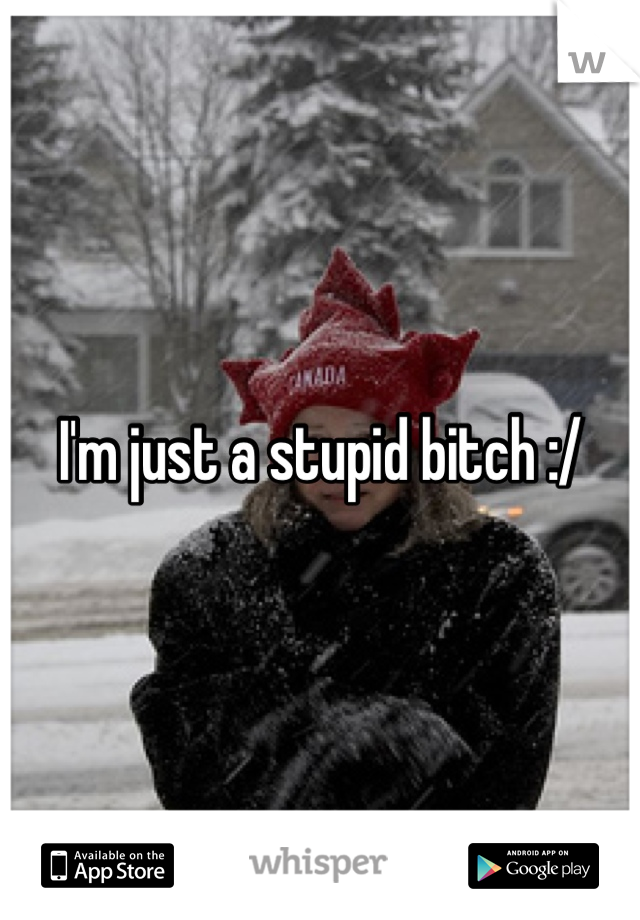I'm just a stupid bitch :/