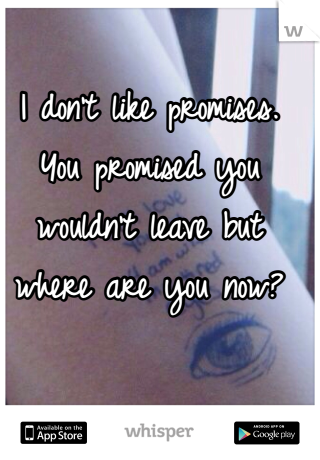 I don't like promises. You promised you wouldn't leave but where are you now?