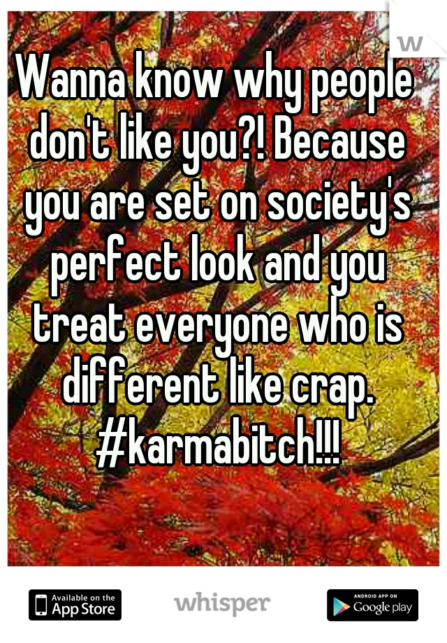 Wanna know why people don't like you?! Because you are set on society's perfect look and you treat everyone who is different like crap. #karmabitch!!!