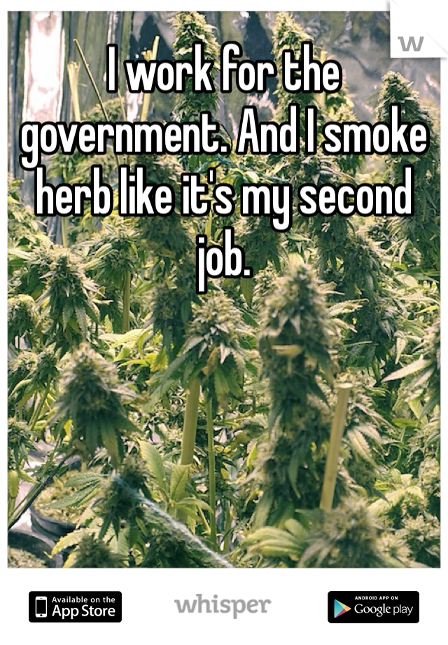 I work for the government. And I smoke herb like it's my second job.