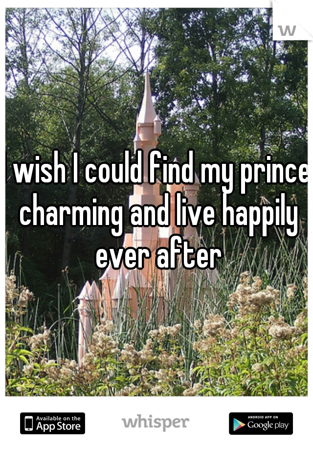 I wish I could find my prince charming and live happily ever after