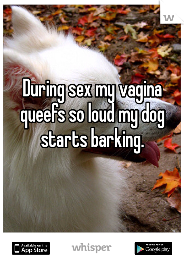 During sex my vagina queefs so loud my dog starts barking. 