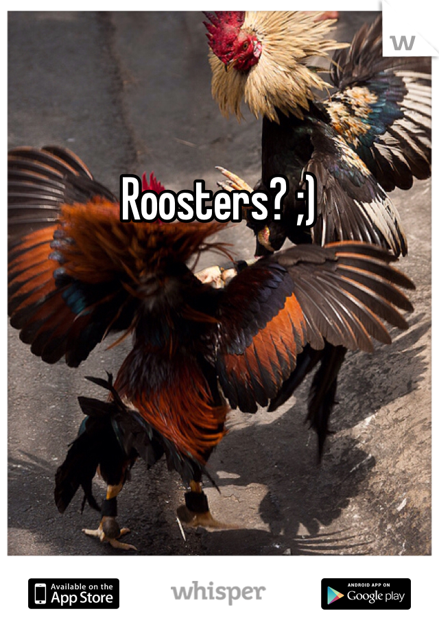Roosters? ;)