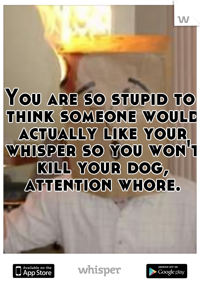 You are so stupid to think someone would actually like your whisper so you won't kill your dog, attention whore.