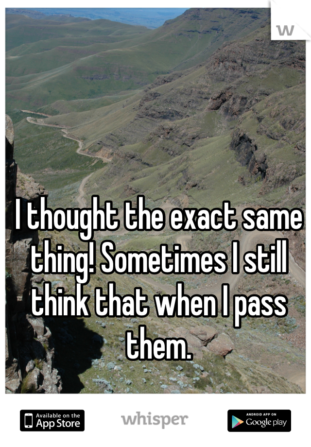 I thought the exact same thing! Sometimes I still think that when I pass them.