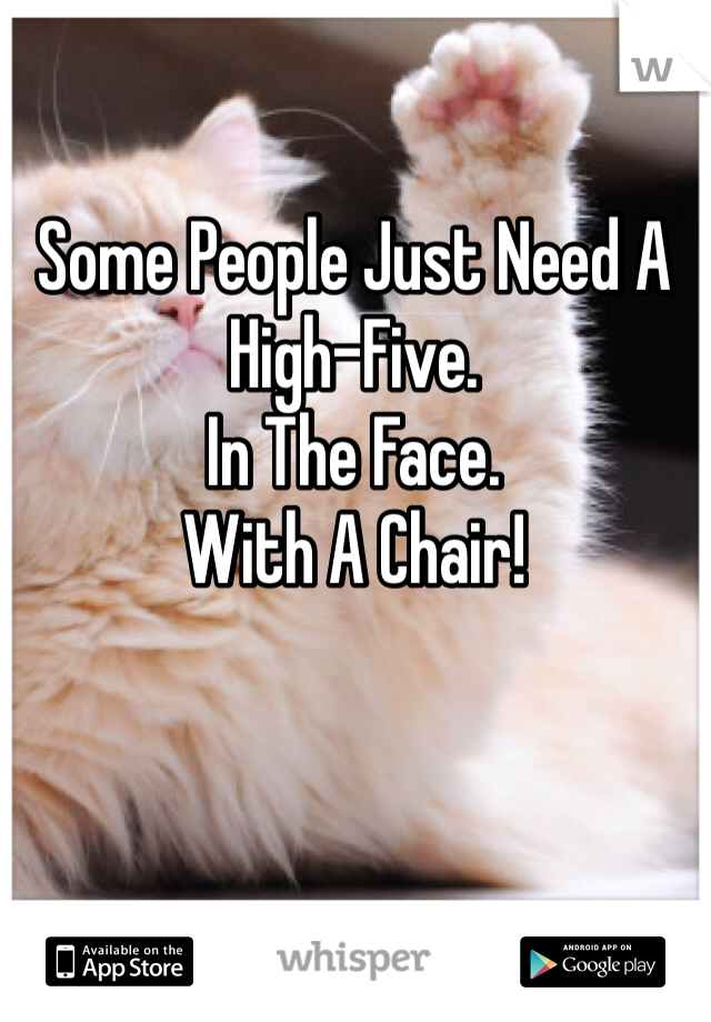 Some People Just Need A High-Five.
In The Face.
With A Chair!