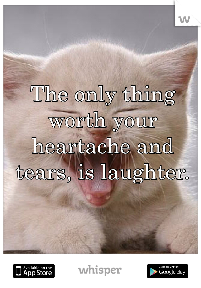 The only thing worth your heartache and tears, is laughter. 