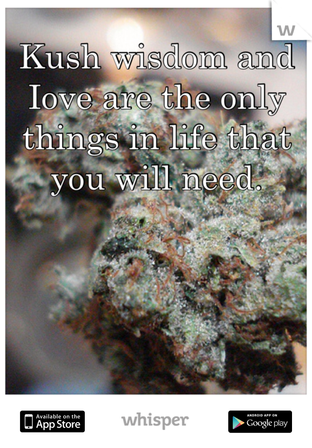 Kush wisdom and Iove are the only things in life that you will need.
