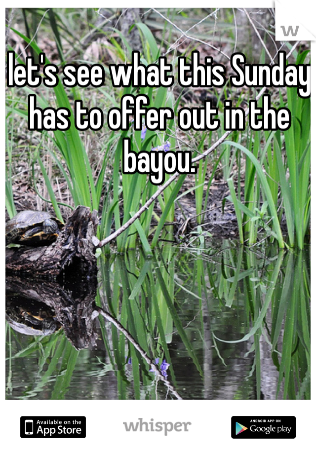 let's see what this Sunday has to offer out in the bayou. 