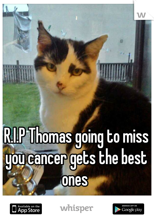 R.I.P Thomas going to miss you cancer gets the best ones 
