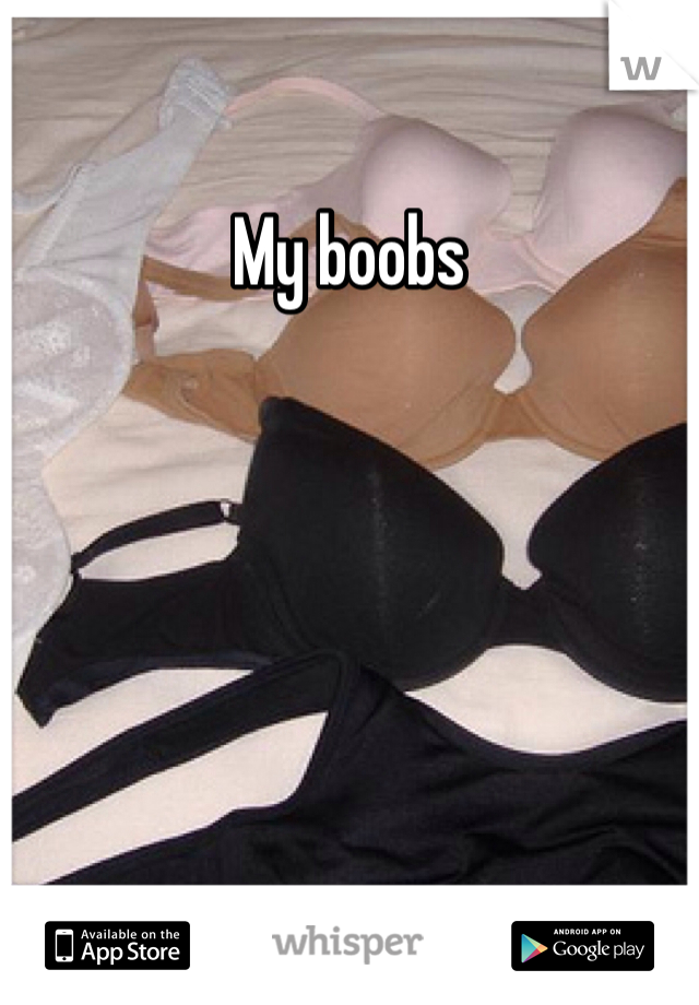 My boobs 

