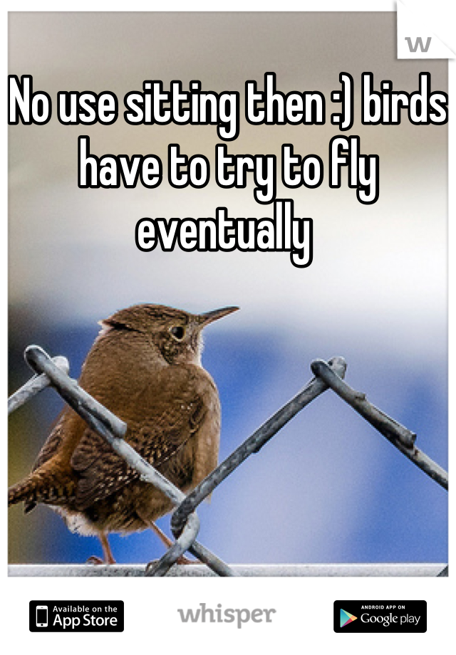 No use sitting then :) birds have to try to fly eventually 