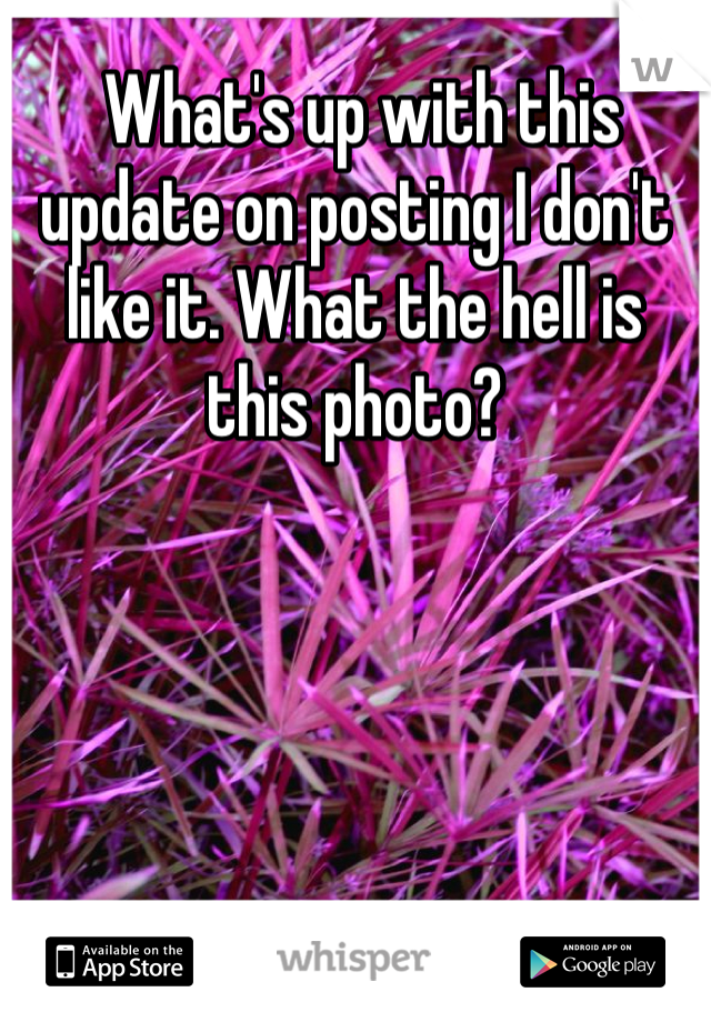  What's up with this update on posting I don't like it. What the hell is this photo? 