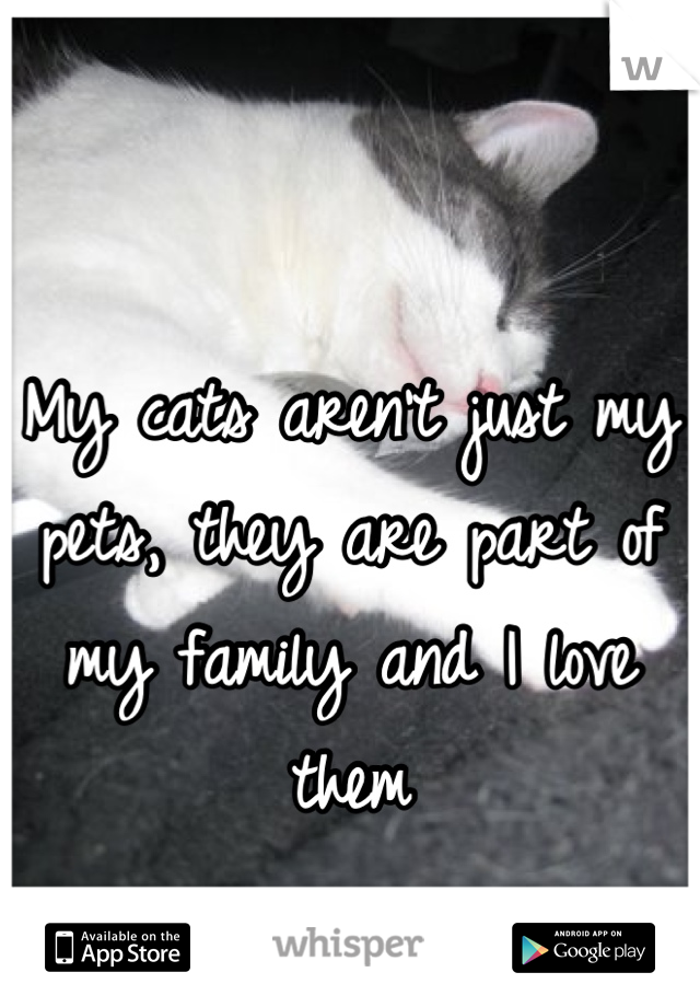 My cats aren't just my pets, they are part of my family and I love them
